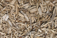 biomass boilers Horsalls